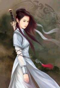 绝品家丁